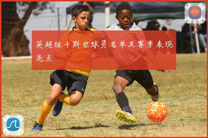 英超纽卡斯尔球员名单及赛季表现亮点