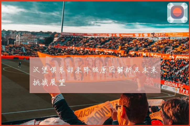 汉堡俱乐部未降级原因解析及未来挑战展望